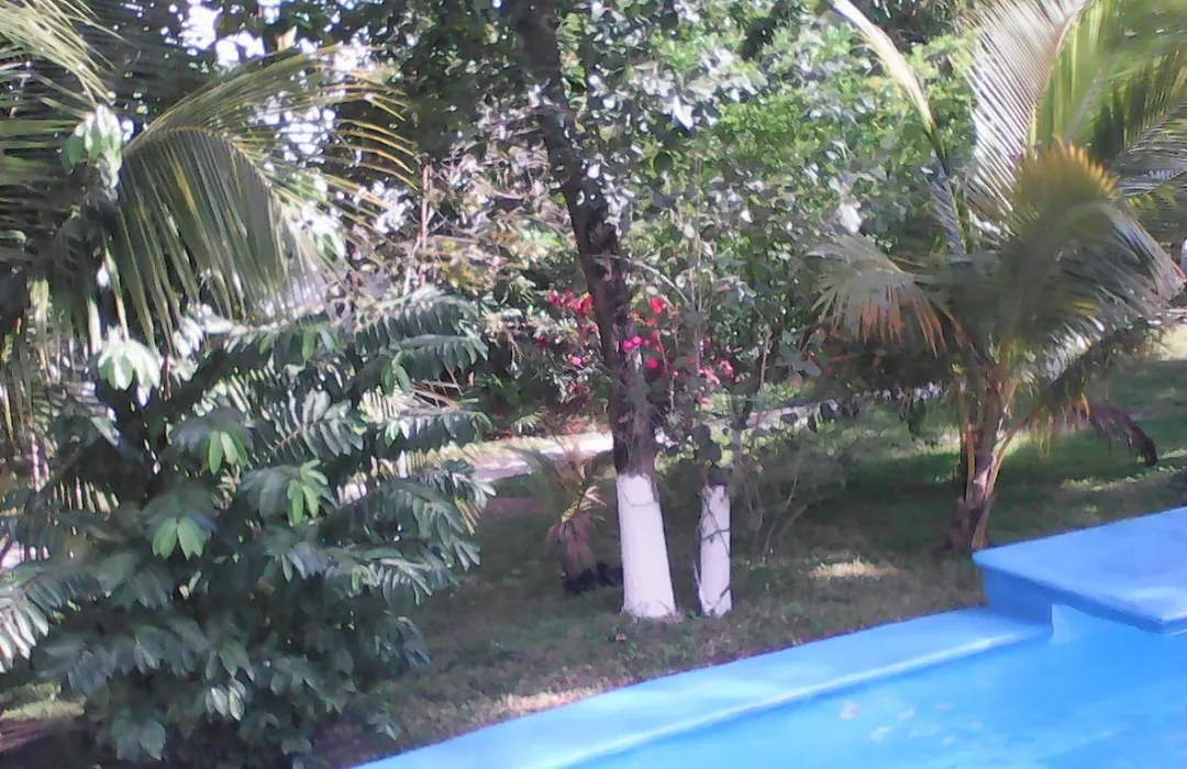 Mansion Giahn Bed & Breakfast-1